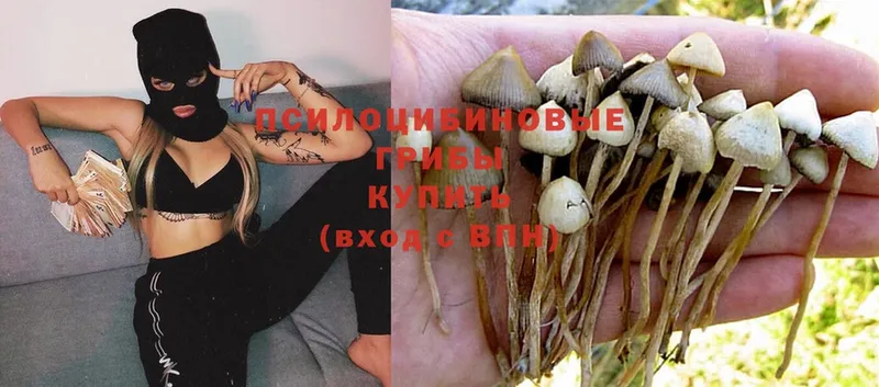 Галлюциногенные грибы Magic Shrooms  Краснослободск 